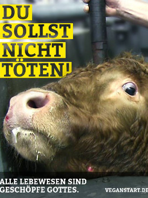 Du sollst nicht töten