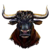 Stier